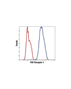Cell Signaling Phosphoplus Fgf Receptor 1 (Tyr653/654) Antibody Duet