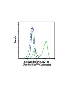 Cell Signaling Cleaved Parp (Asp214) (D64e10) Rabbit mAb (Pacific Blue™ Conjugate)