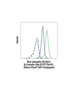 Cell Signaling Non-Phospho (Active) Beta-Catenin (Ser33/37/Thr41) (D13a1) Rabbit mAb (Alexa Fluor 647 Conjugate)