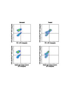 Cell Signaling PD-1 (Intracellular Domain) (D4W2J) XP® Rabbit mAb (PE Conjugate); 20 µl
