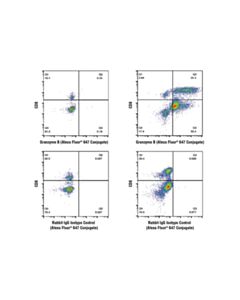 Cell Signaling Mouse Progenitor Exhausted Cd8+ T Cell Markers Flow Cytometry Panel