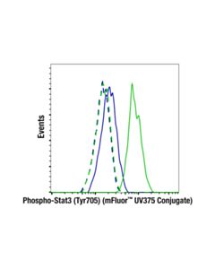 Cell Signaling Phospho-Stat3 (Tyr705) (D3A7) XP Rabbit mAb (mFluor ™ UV375 Conjugate)