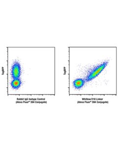 Cell Signaling Whitlow/218 Linker (E3u7q) Rabbit mAb (Alexa Fluor ® 594 Conjugate)