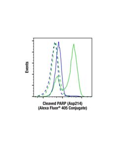 Cell Signaling Cleaved PARP (Asp214) (D64E10) Rabbit Monoclonal Antibody (Alexa Fluor ® 405 Conjugate)