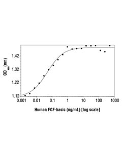 Cell Signaling Human Basic Fibroblast Growth Factor (Hfgf Basic/Fgf2)