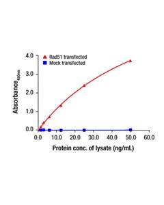 Cell Signaling Rad51 Matched Antibody Pair
