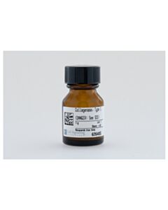 Cell Signaling Collagenase, Type 1