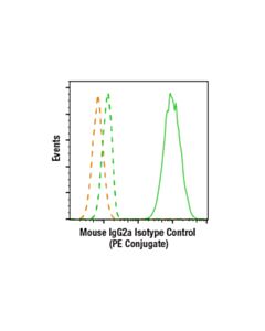 Cell Signaling Mouse (E5y6q) mAb Igg2a Isotype Control (PE Conjugate)