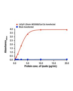 Cell Signaling LbCpf1 (Strain ND2006)/Cas12a Matched Antibody Pair
