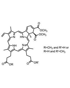 Cell Signaling Verteporfin