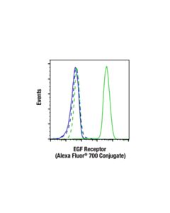 Cell Signaling EGF Receptor (D38B1) XP ® Rabbit mAb (Alexa Fluor ® 700 Conjugate)