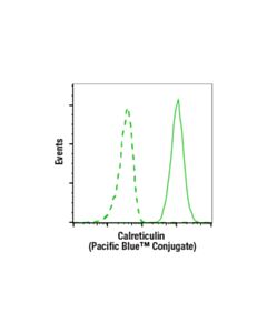 Cell Signaling Calreticulin (D3e6) Xp Rabbit mAb (Pacific Blue™ Conjugate)