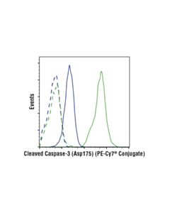 Cell Signaling Cleaved Caspase-3 (Asp175) (D3e9) Rabbit mAb (PE-Cy7<LT/>Sup&Gt;®<LT/>/Sup&Gt; Conjugate)