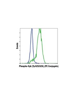 Cell Signaling Phospho-Syk (Tyr525/526) (C87C1) Rabbit Monoclonal Antibody (PE Conjugate)