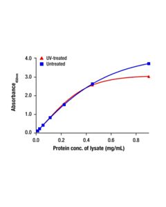 Cell Signaling Total Glucocorticoid Receptor Matched Antibody Pair