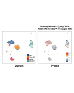 Cell Signaling Tri-Methyl-Histone H3 (Lys4) (C42D8) Rabbit mAb (InTraSeq ™ 3 Conjugate 3085)