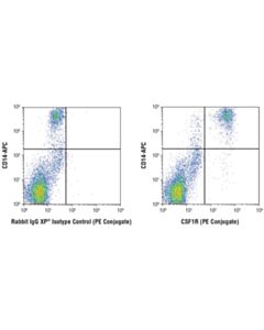 Cell Signaling Csf-1r/M-Csf-R (D3o9x) Xp Rabbit mAb (PE Conjugate)