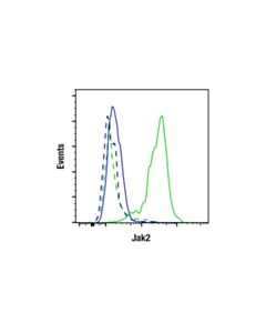 Cell Signaling Jak2 (F7S5R) Rabbit mAb; 20 µl