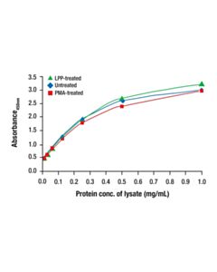 Cell Signaling Total MEK1 Matched Antibody Pair