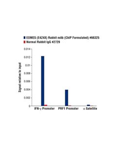 Cell Signaling Eomes (E4z4x) Rabbit mAb (Chip Formulated)