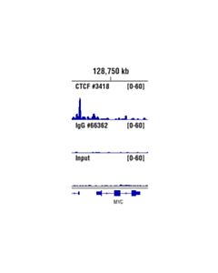 Cell Signaling Rabbit (Da1e) mAb Igg Xp Isotype Control (Cut&Run)