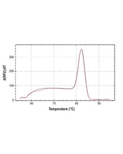 Cell Signaling Simplechip Human Atf-3 Exon 1 Primers