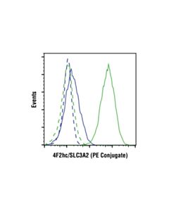 Cell Signaling 4f2hc/Cd98 (D3f9d) Xp Rabbit mAb (PE Conjugate)