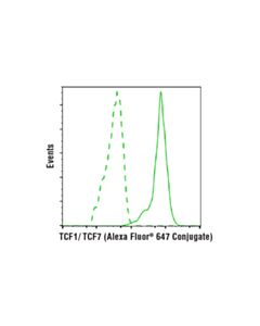 Cell Signaling TCF1/TCF7 (C63D9) Rabbit mAb (Alexa Fluor® 647 Conjugate); 20 µl