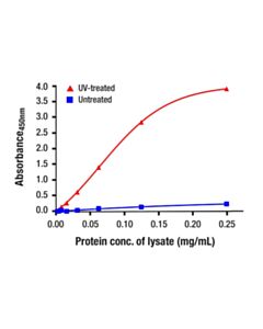 Cell Signaling Phospho-Stat1 (Ser727) Matched Antibody Pair