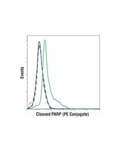 Cell Signaling Cleaved Parp (Asp214) (D6x6x) Rabbit mAb (Rodent Specific) (PE Conjugate)