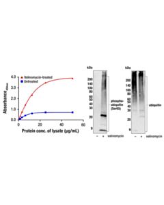 Cell Signaling Pan-branch Ubiquitin TUBE-UBQLN1 (Biotinylated)
