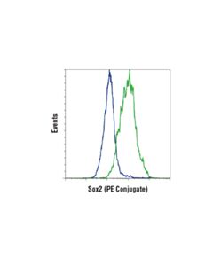 Cell Signaling Sox2 (D6d9) Xp Rabbit mAb (PE Conjugate)