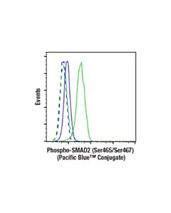 Cell Signaling Phospho-Smad2 (Ser465/Ser467) (E8f3r) Rabbit mAb (Pacific Blue™ Conjugate)