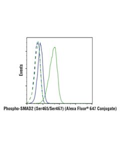 Cell Signaling Phospho-Smad2 (Ser465/Ser467) (E8f3r) Rabbit mAb (Alexa Fluor 647 Conjugate)