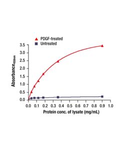 Cell Signaling Phospho-Akt1 (Ser473) Matched Antibody Pair 1 Kit