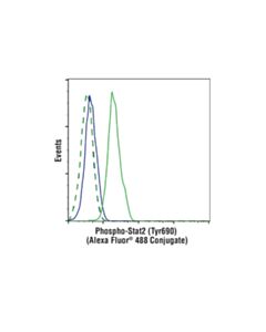 Cell Signaling Phospho-Stat2 (Tyr690) (D3p2p) Rabbit mAb (Alexa Fluor 488 Conjugate)