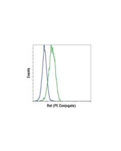 Cell Signaling Ret (E1n9a) Rabbit mAb (PE Conjugate)
