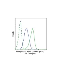 Cell Signaling Phospho-P38 Mapk (Thr180/Tyr182) (3d7) Rabbit mAb (PE Conjugate)