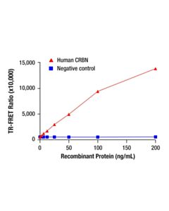 Cell Signaling CRBN (F4I7F) Rabbit Monoclonal Antibody (trFluor ™ Europium Cryptate Conjugate)