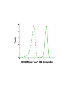 Cell Signaling CDK9 (C12F7) Rabbit mAb (Alexa Fluor ® 647 Conjugate)