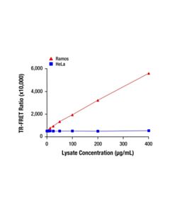 Cell Signaling Ikaros (D10E5) Rabbit Monoclonal Antibody (trFluor ™ Europium Cryptate Conjugate)
