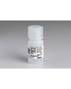 Cell Signaling Fastscan ELISA Cell Extraction Buffer (5x)