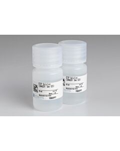 Cell Signaling Stop Solution