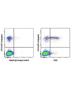 Cell Signaling Cd23 (E5p8z) Rabbit mAb