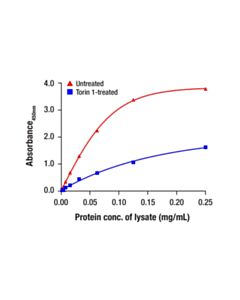 Cell Signaling Phospho-TFE3 (Ser321) Matched Antibody Pair