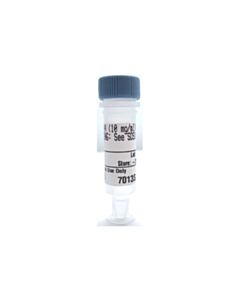 Cell Signaling Rnase A (10 mg/mL)