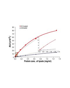 Cell Signaling Pathscan Phospho-C-Jun (Ser63) Chemiluminescent Sandwich ELISA Kit