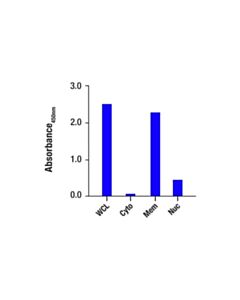 Cell Signaling COX IV Matched Antibody Pair
