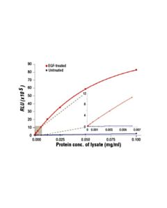 Cell Signaling Pathscan Phospho-Egf Receptor (Tyr1068) Chemiluminescent Sandwich ELISA Kit