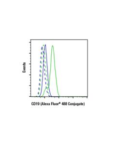 Cell Signaling CD19 (Intracellular Domain) (D4V4B) Rabbit Monoclonal Antibody (Alexa Fluor ® 488 Conjugate)